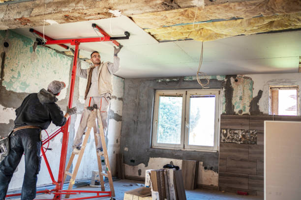 Best Best Insulation Companies  in Jonesville, LA